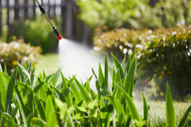 24/7 Emergency Ant Control experts in Moberly, MO